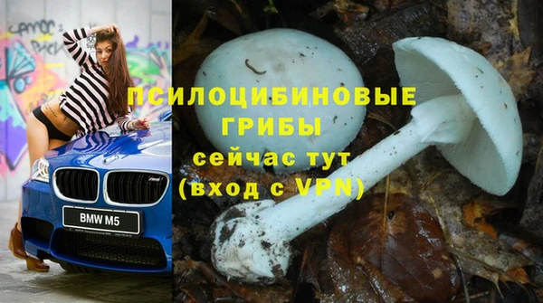 COCAINE Каменка