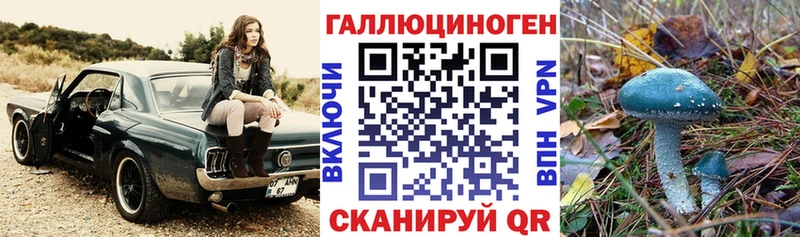Купить закладки  Гвардейск  Псилоцибиновые грибы Magic Shrooms 