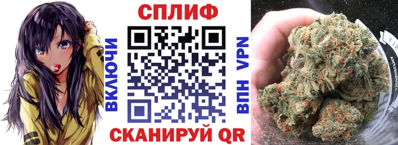 Бошки Шишки план  Купить закладки  Гвардейск 